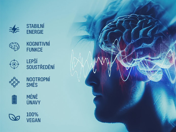 Hlavní benefity Zengana Brain Boost